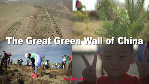 Meet The Great Green Wall Of China Plus - Great Green Wall Of China Facts