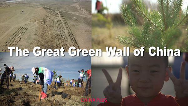 Meet The Great Green Wall Of China Plus - Great Green Wall Of China Facts Meet The Great Green Wall Of China Plus - Great Green Wall Of China Facts